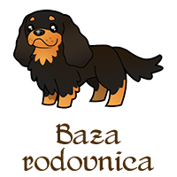 cavaliers bazarodovnica